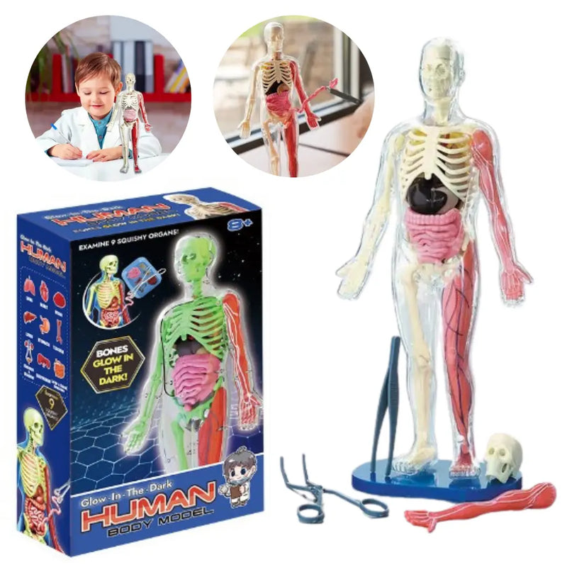 Anatomia Humana 3D Kids