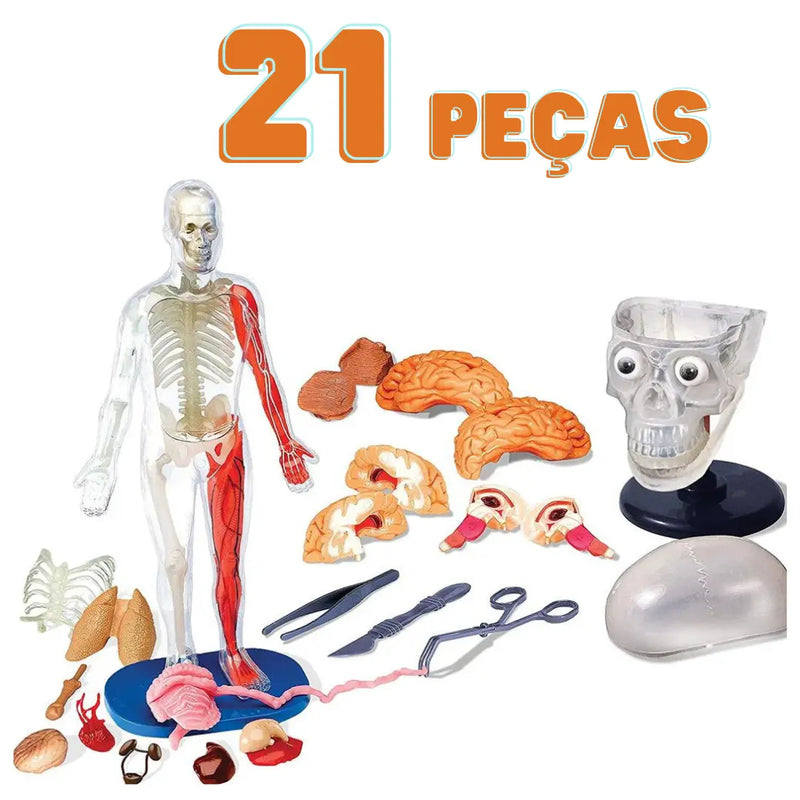 Anatomia Humana 3D Kids