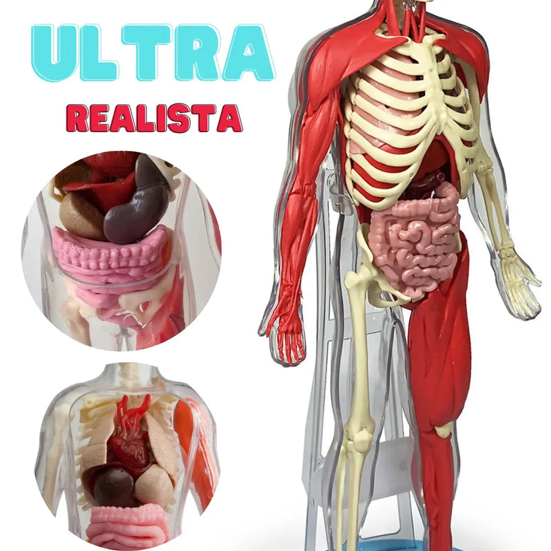 Anatomia Humana 3D Kids